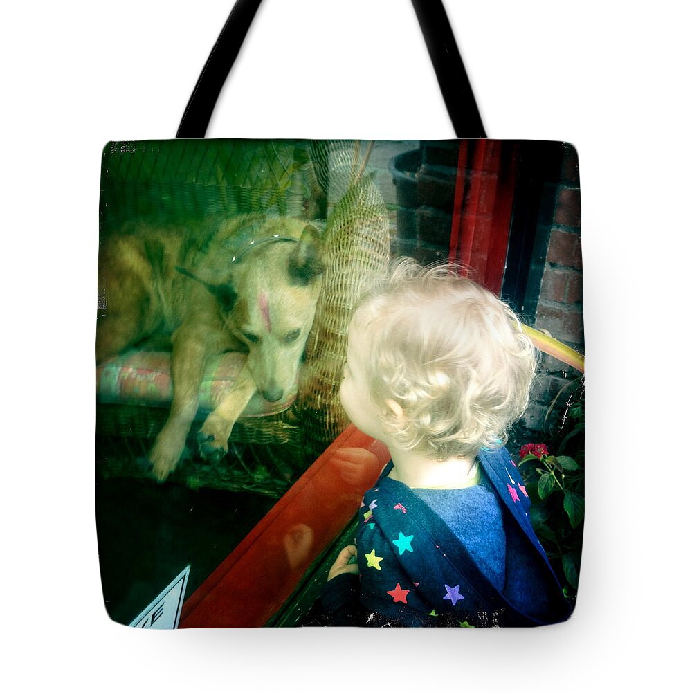 Dog Tote Bag featuring the photograph Dog in Window by Suzanne Lorenz