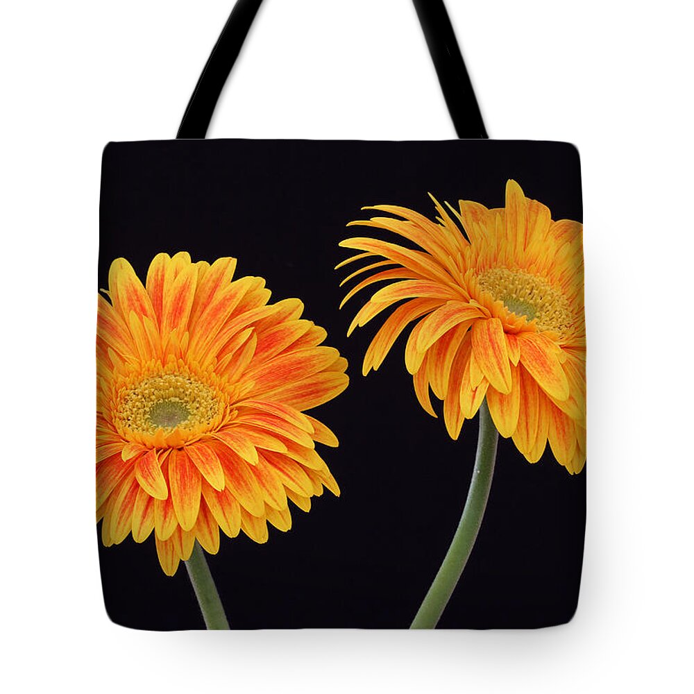 Daisy Tote Bag featuring the photograph Doppelgaenger by Juergen Roth