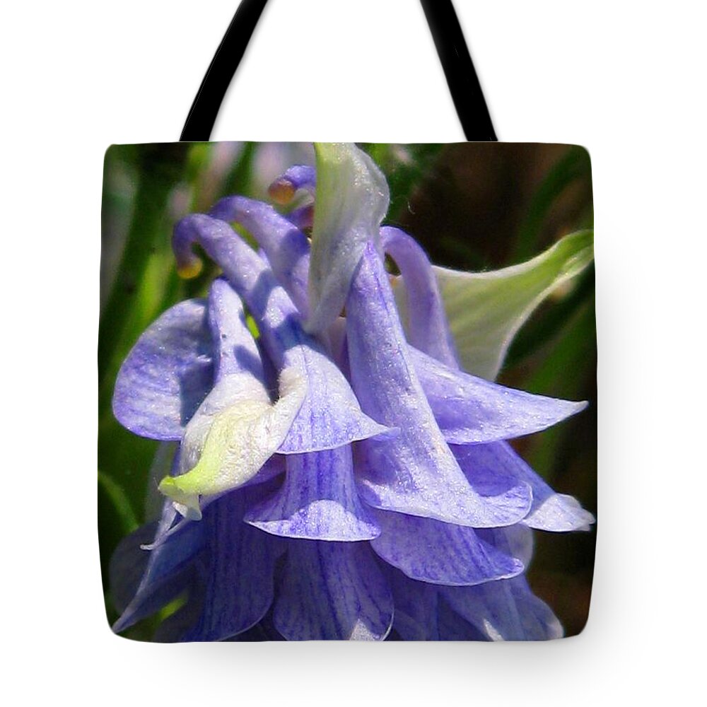 Columbine Tote Bag featuring the photograph Double Columbine named Light Blue by J McCombie