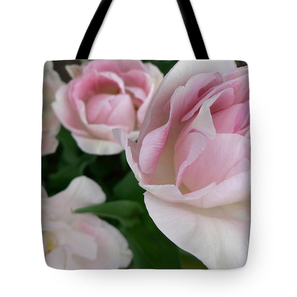 Double Tote Bag featuring the photograph Double Pink by Laurel Best