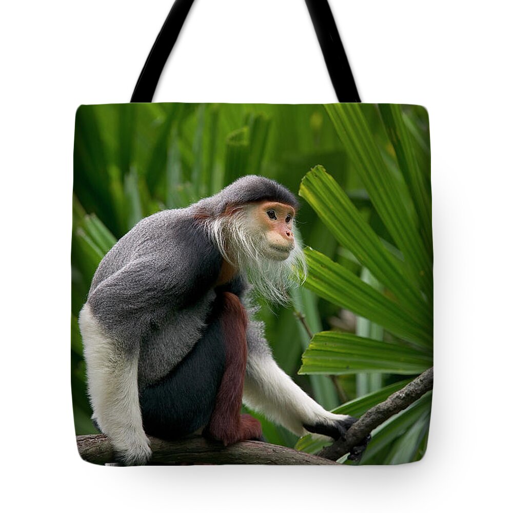 Mp Tote Bag featuring the photograph Douc Langur Pygathrix Nemaeus Male by Cyril Ruoso