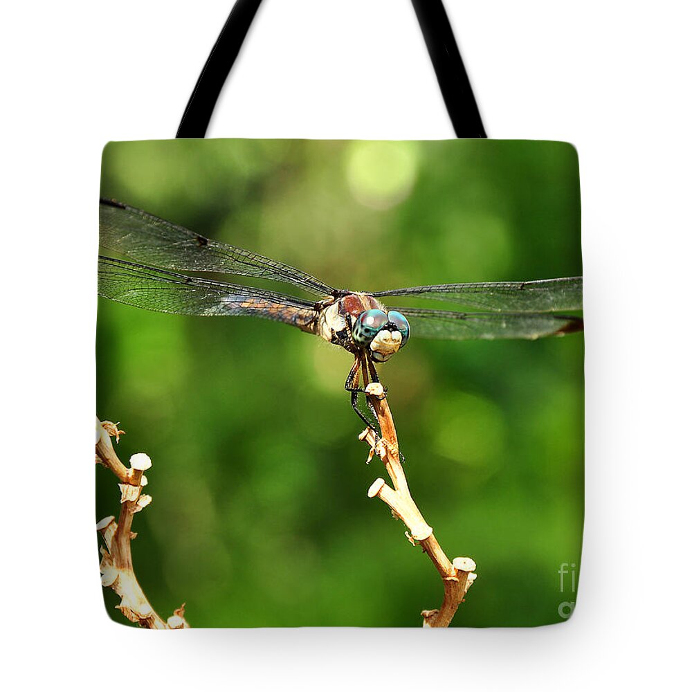 Dragon Fly Tote Bag featuring the photograph Dragon Fly by Susan Cliett