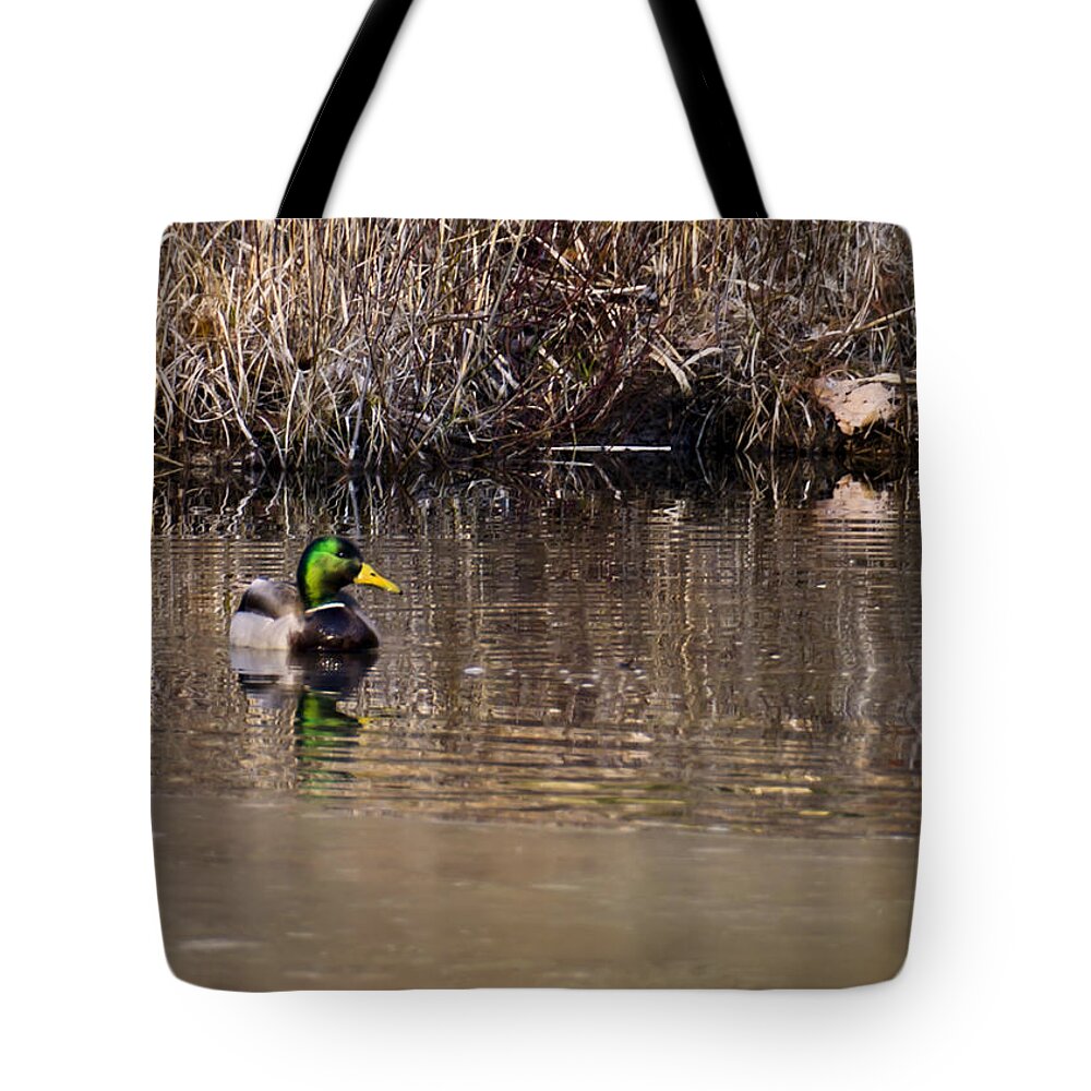 Usa Tote Bag featuring the photograph Drake in the pond by LeeAnn McLaneGoetz McLaneGoetzStudioLLCcom