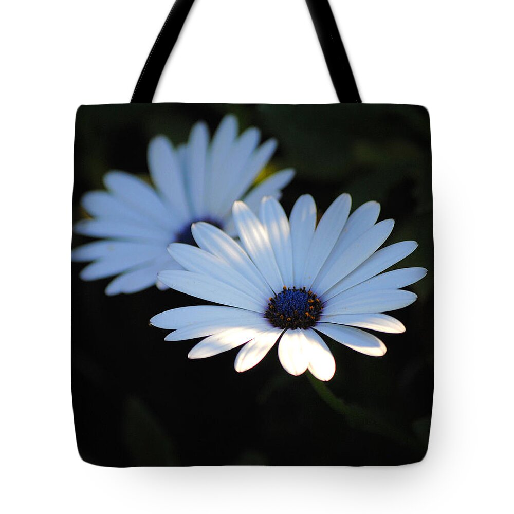 Blue Tote Bag featuring the photograph Dramatic Daisies by Jai Johnson