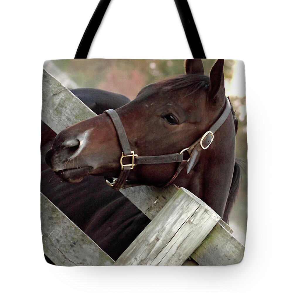 Pjq And Friends Photography Tote Bag featuring the photograph 'Dreamcakes' by PJQandFriends Photography