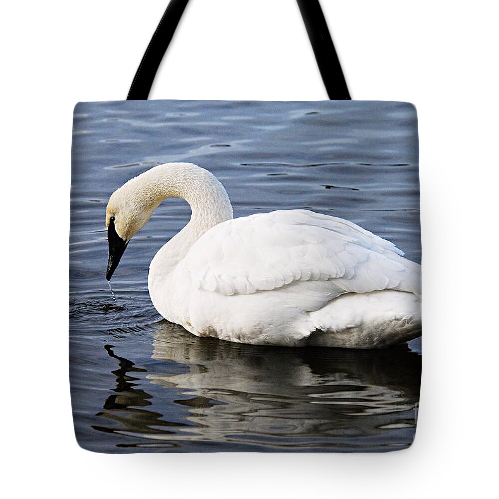 Photography Tote Bag featuring the photograph Dribbling Swan by Larry Ricker