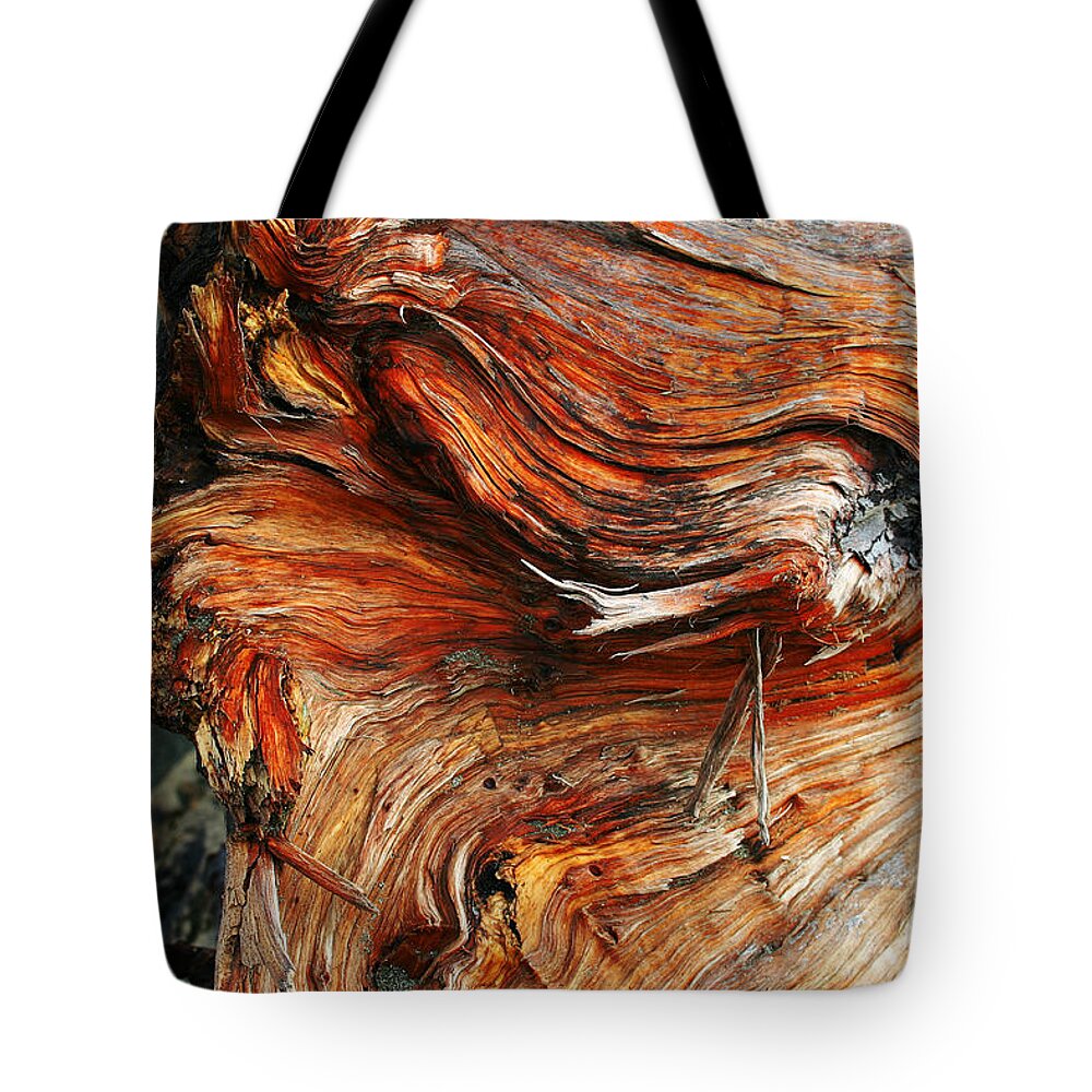 Redwood Tote Bag featuring the photograph Drift Redwood by Anthony Jones