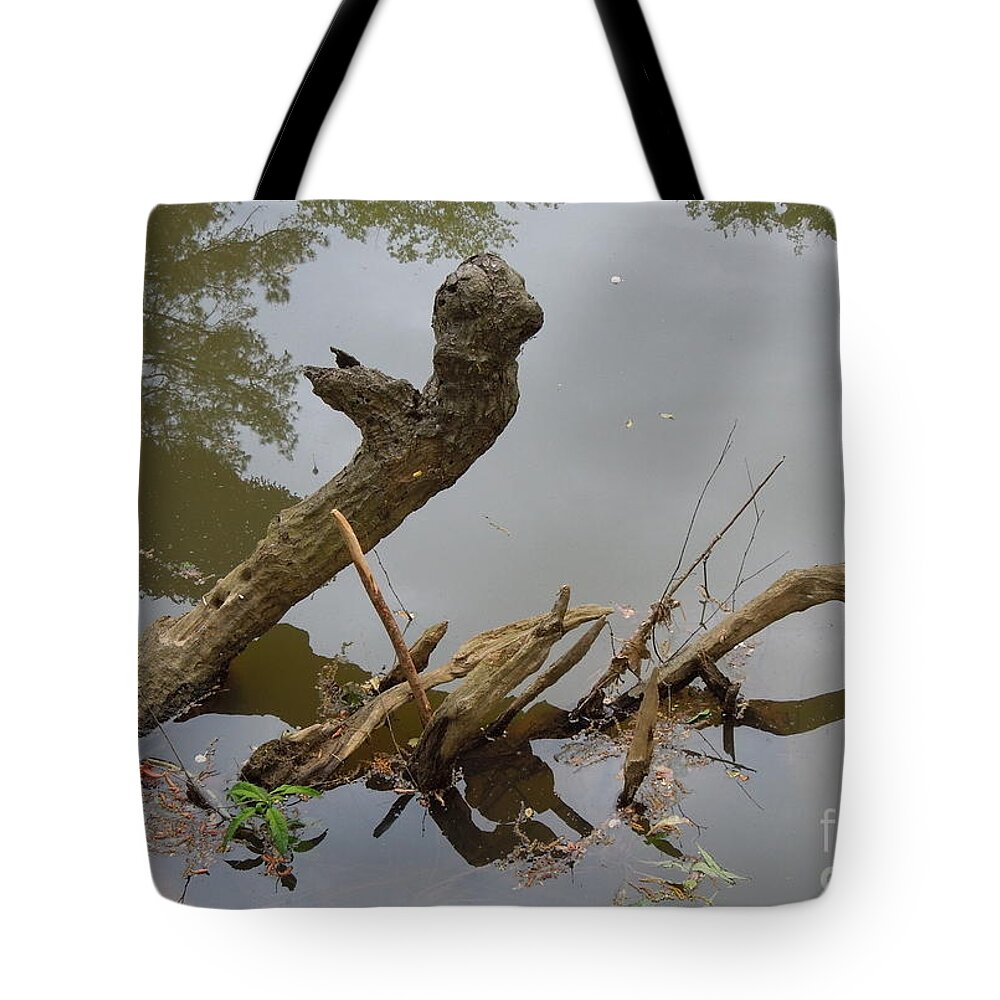 Driftwood Tote Bag featuring the photograph Driftwood by Renee Trenholm
