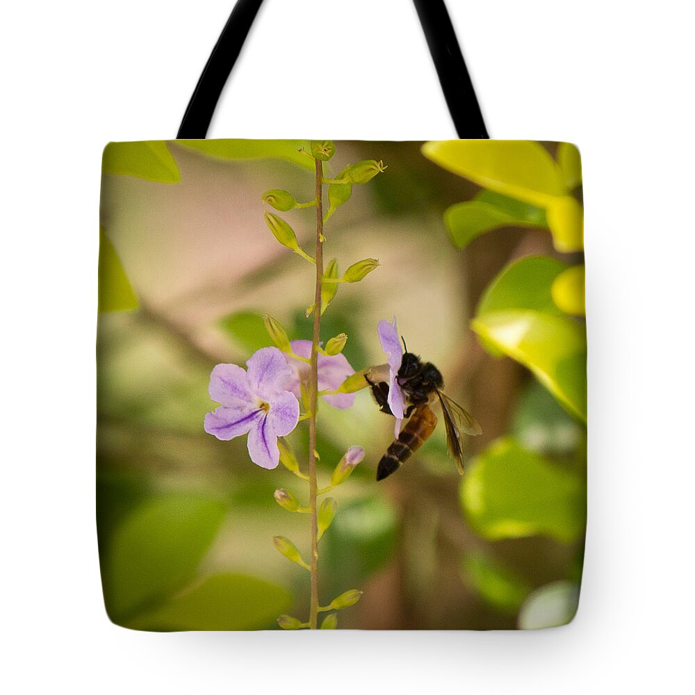 Drink Tote Bag featuring the photograph Drinking away by SAURAVphoto Online Store