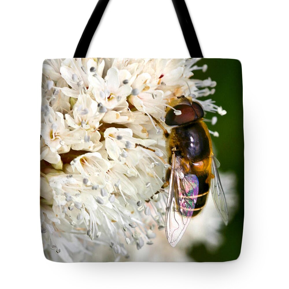 Drone Fly Tote Bag featuring the photograph Drone Fly by Mitch Shindelbower