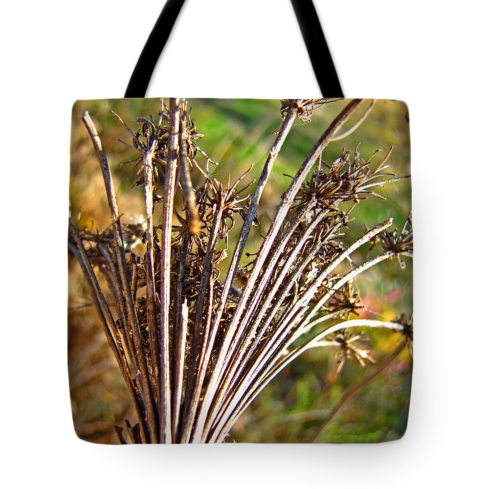 Botanical Tote Bag featuring the photograph Dry Queen Anns Lace I by Debbie Portwood