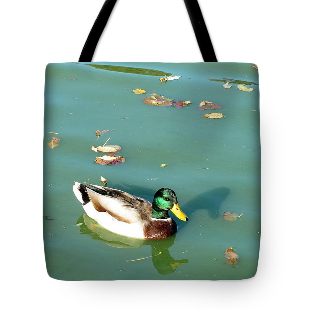 Duck Tote Bag featuring the photograph Duck 1 by Anita Burgermeister