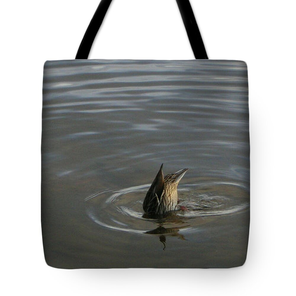 Lakes Tote Bag featuring the photograph Duck Butt 1560 by Guy Whiteley