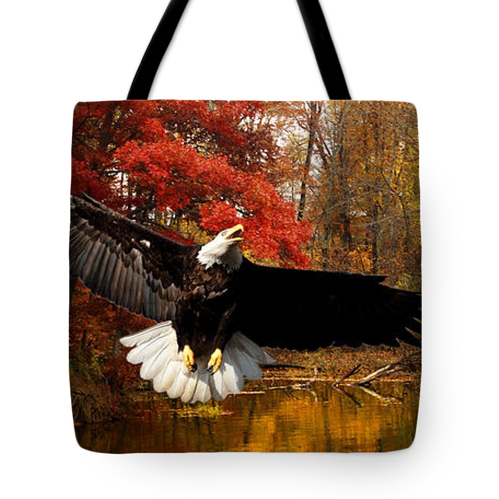 Late October Tote Bag featuring the photograph Eagle in Autumn Splendor by Randall Branham