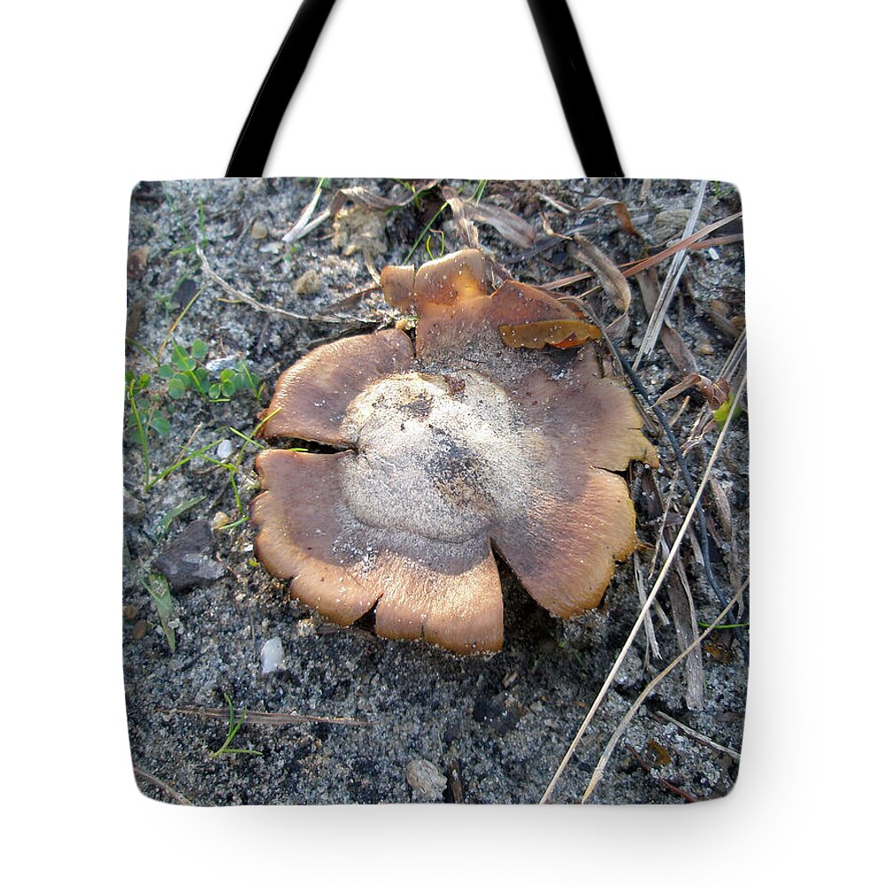 Earth Star Tote Bag featuring the photograph Earth Star Mushroom - Geastrum perhaps by Carol Senske