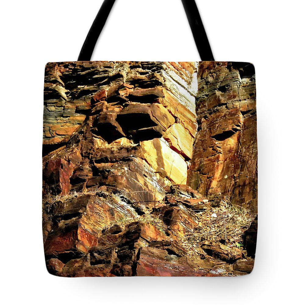 Autumn Color Tote Bag featuring the photograph Earth Tones by Albert Seger