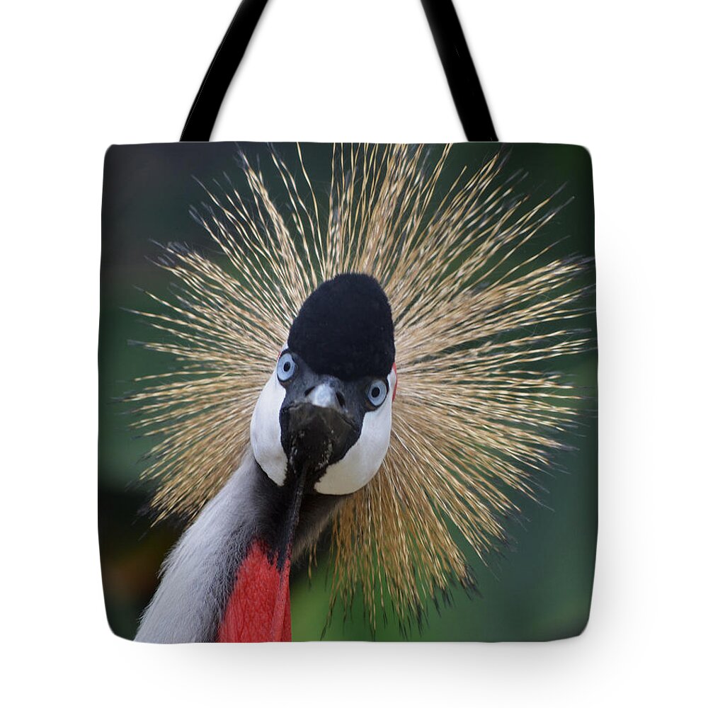 Bird Tote Bag featuring the photograph East African Crowned Crane by Maggy Marsh