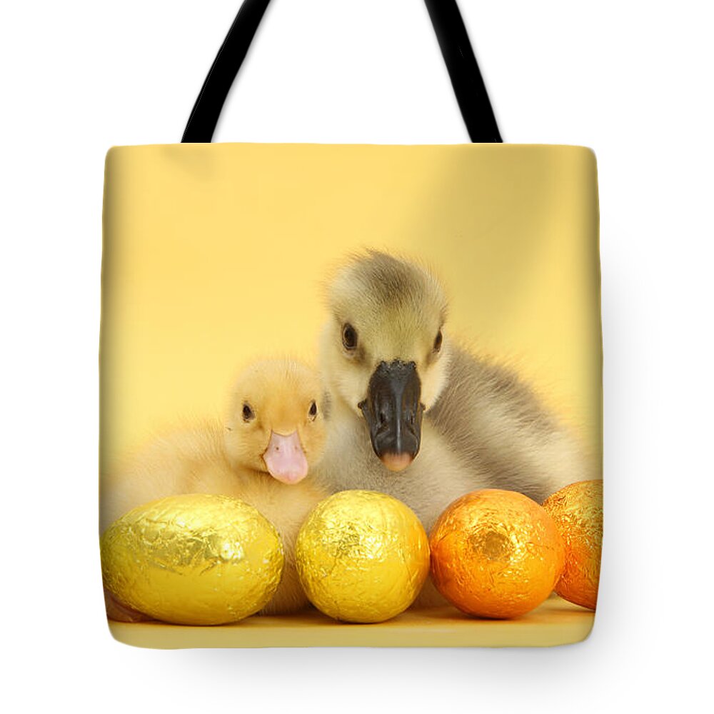 Nature Tote Bag featuring the photograph Easter Duckling And Gosling by Mark Taylor