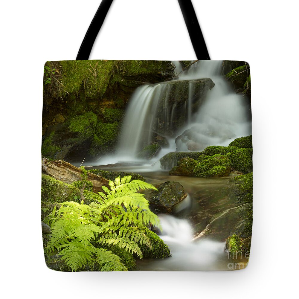 Idaho Tote Bag featuring the photograph Eden by Idaho Scenic Images Linda Lantzy