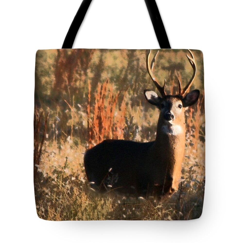 Buck Tote Bag featuring the painting Eight Point Buck by Karen Harrison Brown