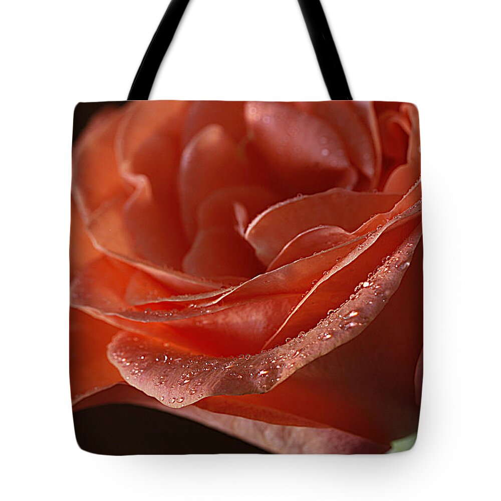 Rose Tote Bag featuring the photograph Elegance by Shirley Mitchell