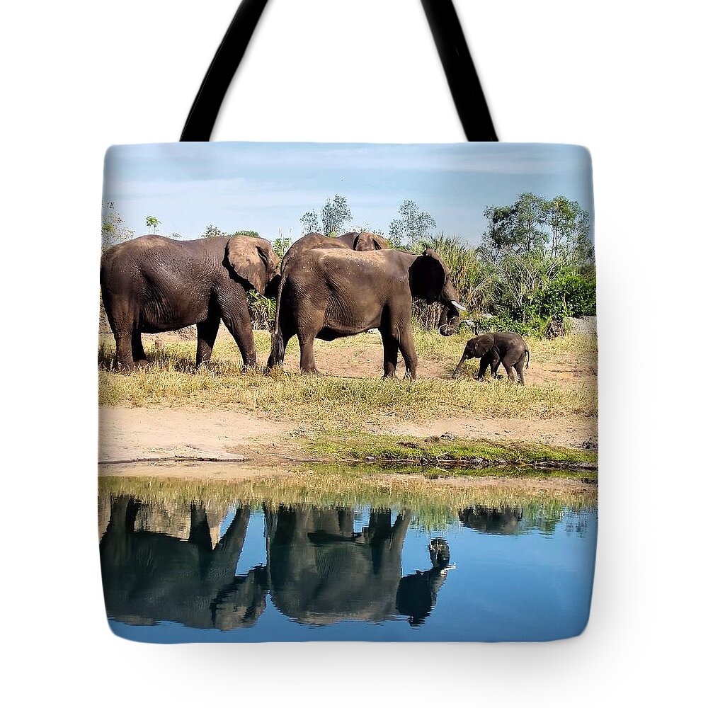 Animal Tote Bag featuring the photograph Elephants by Jenny Hudson