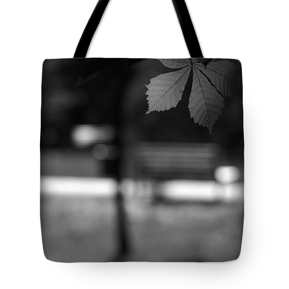Bench Tote Bag featuring the photograph Empty Bench by Dariusz Gudowicz