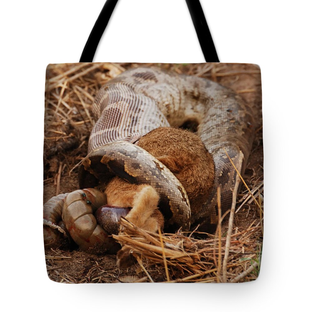 Serpent Tote Bag featuring the photograph Entrapped by Fotosas Photography
