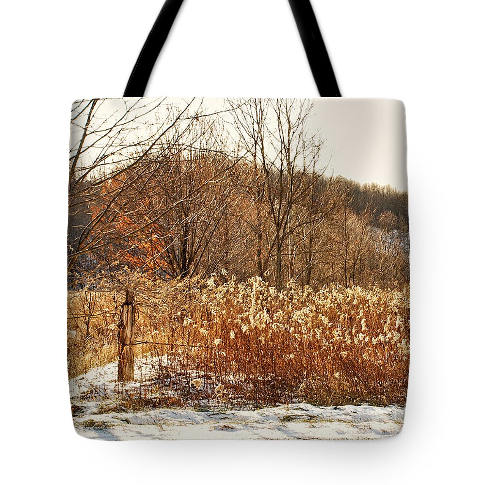 Field Tote Bag featuring the photograph Even Now By The Gate by Lois Bryan