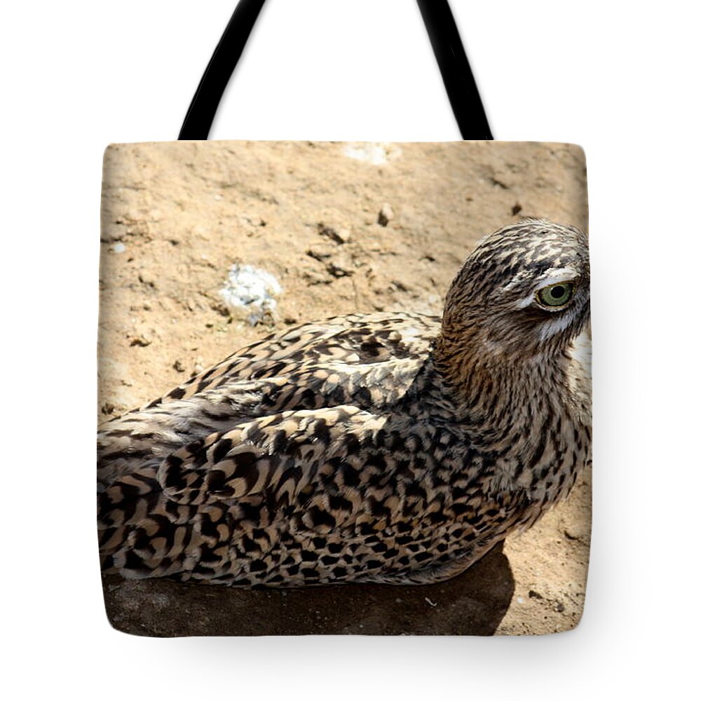 Bird Tote Bag featuring the photograph Exotic bird by Kim Galluzzo Wozniak