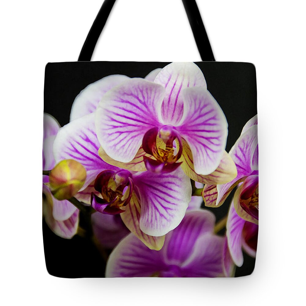 Exotic Tote Bag featuring the photograph Exotic Orchids by Angelina Tamez