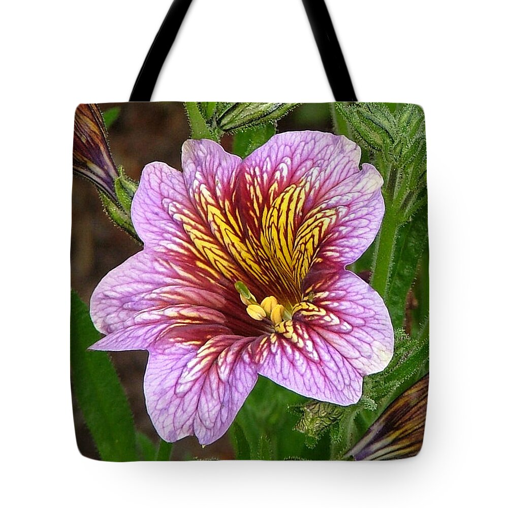 Flower Canvas Prints Tote Bag featuring the photograph Exploding Beauty by Wendy McKennon