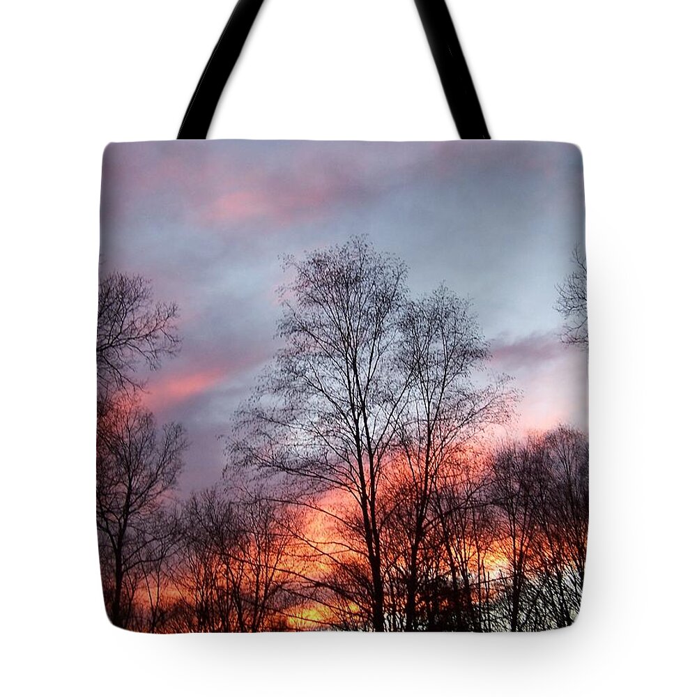 Sunset Tote Bag featuring the photograph Explosions Of Color by Kim Galluzzo