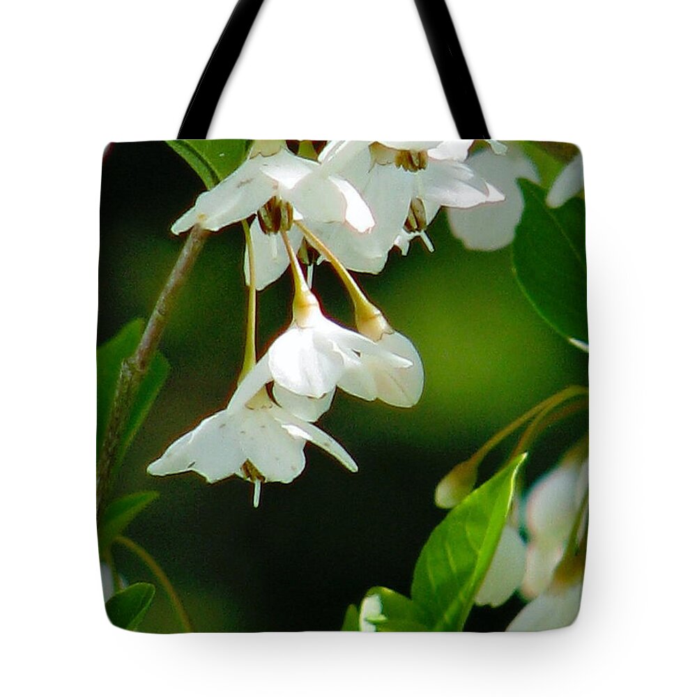 Flowers Tote Bag featuring the photograph Faerie Bells 2 by Rory Siegel