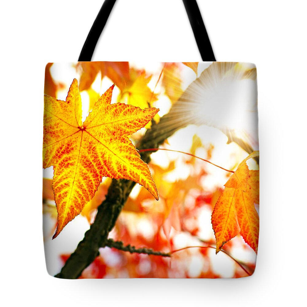Autumn Tote Bag featuring the photograph Fall Colors by Carlos Caetano