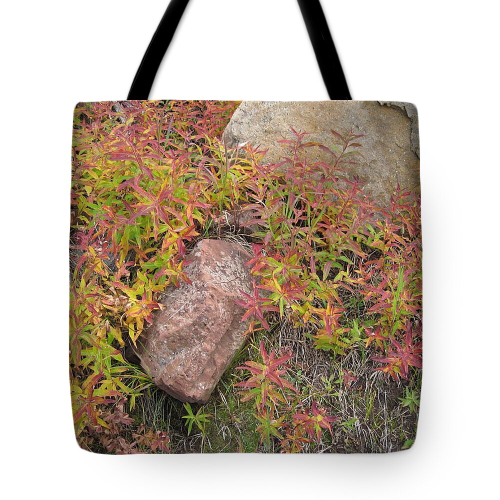 Arapaho Tote Bag featuring the photograph Fall Festival by Eric Glaser