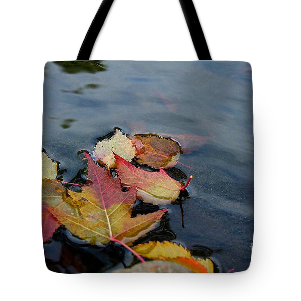 Outdoors Tote Bag featuring the photograph Fall Gathering by Susan Herber