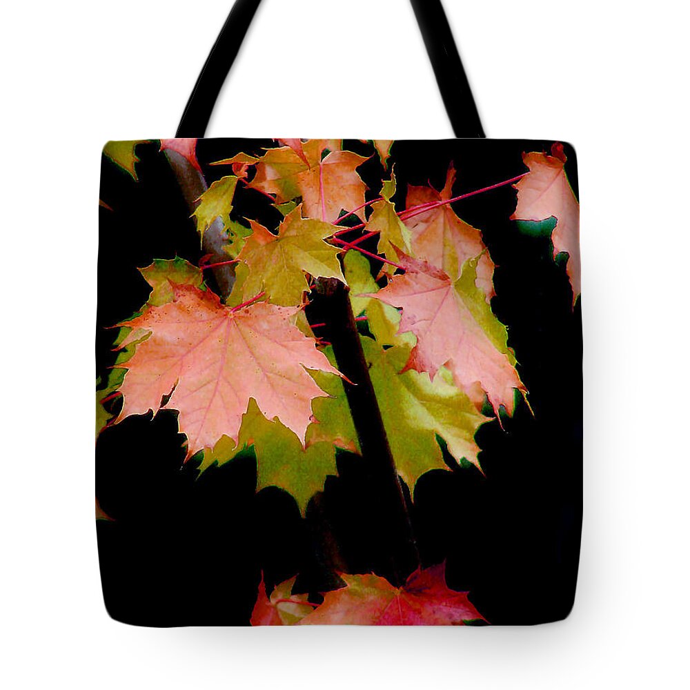 Leaf Tote Bag featuring the photograph Fall Grandeur by Rory Siegel