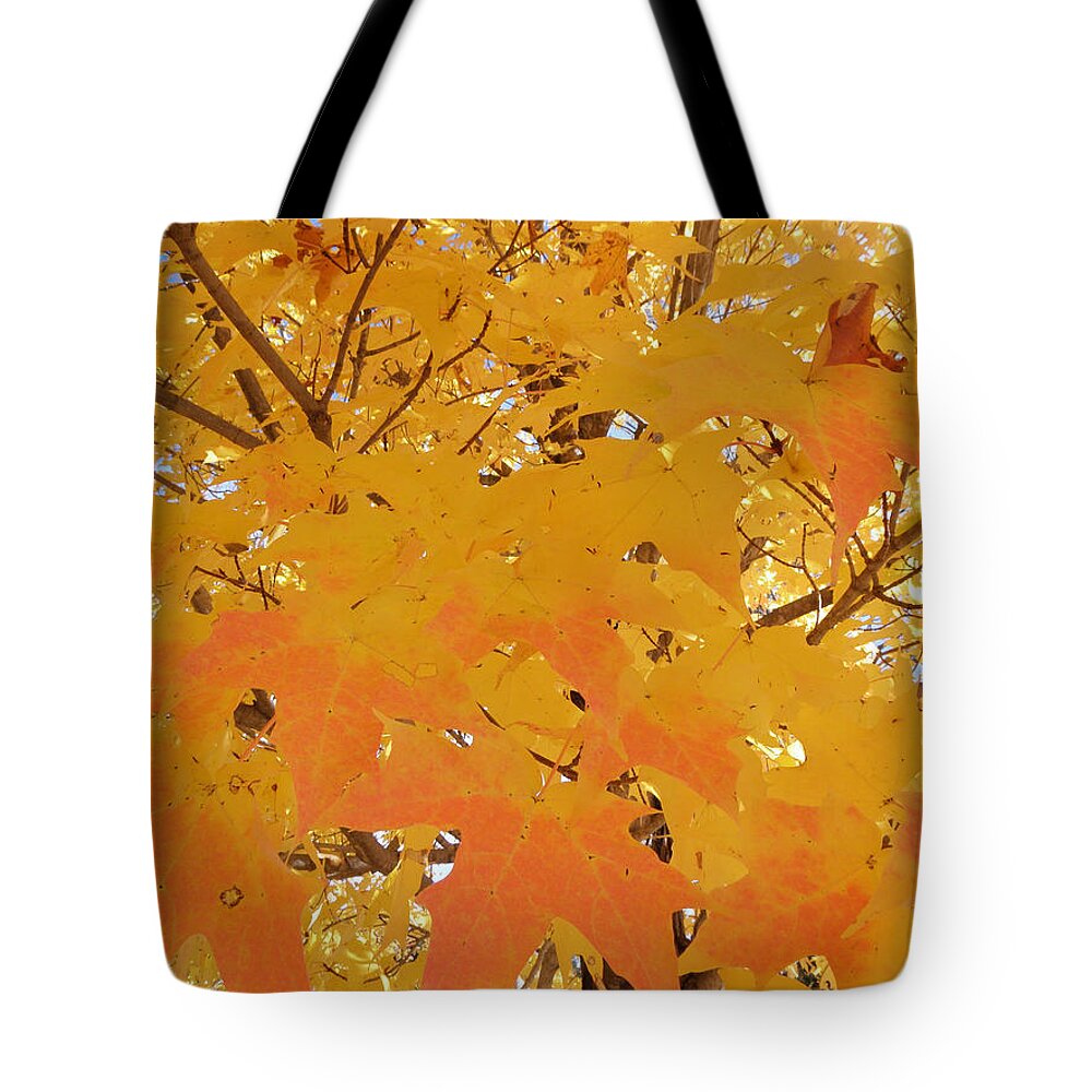 Fall Tote Bag featuring the photograph Fall in New England by Kim Galluzzo Wozniak