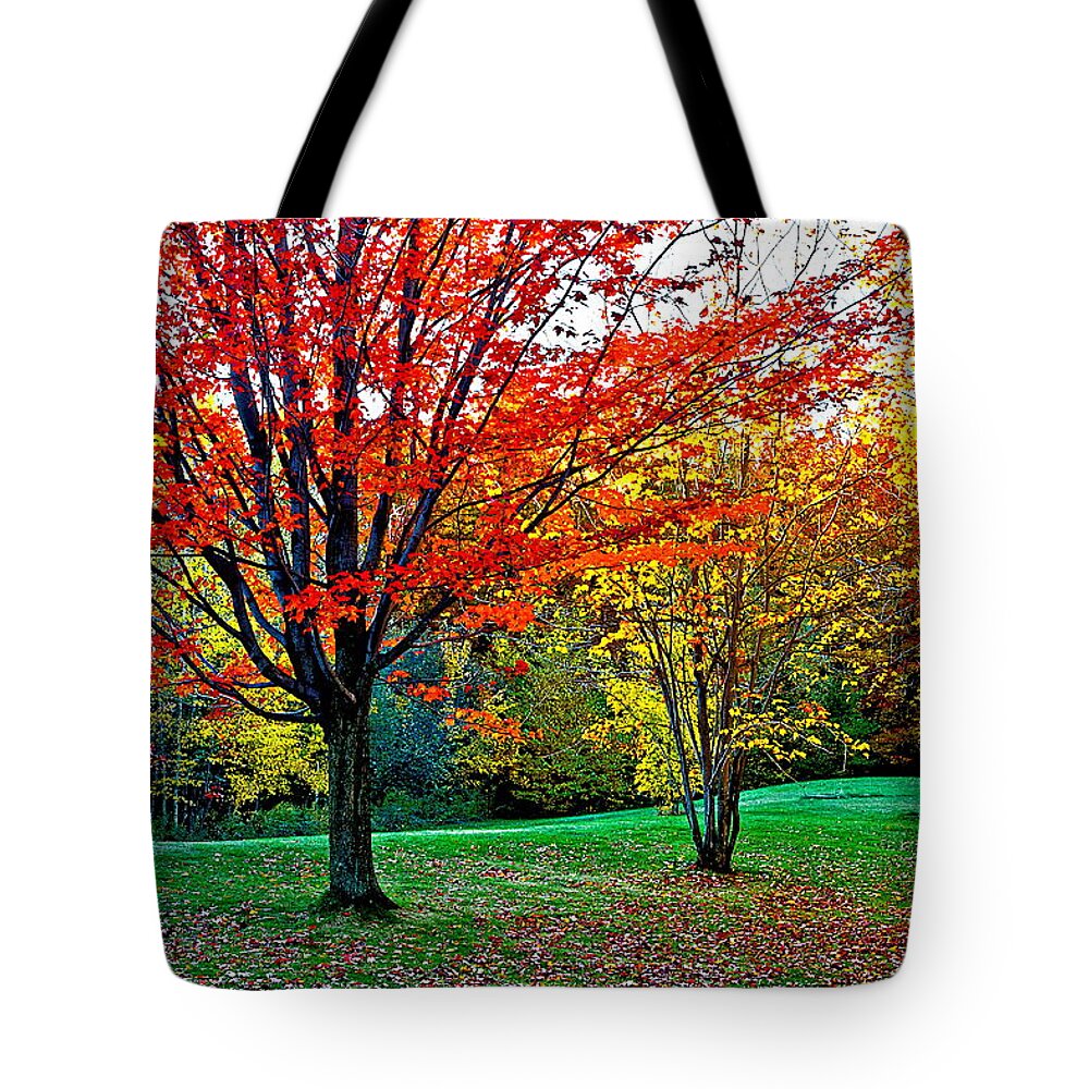 Fall Tote Bag featuring the photograph Fall Partnership by Burney Lieberman