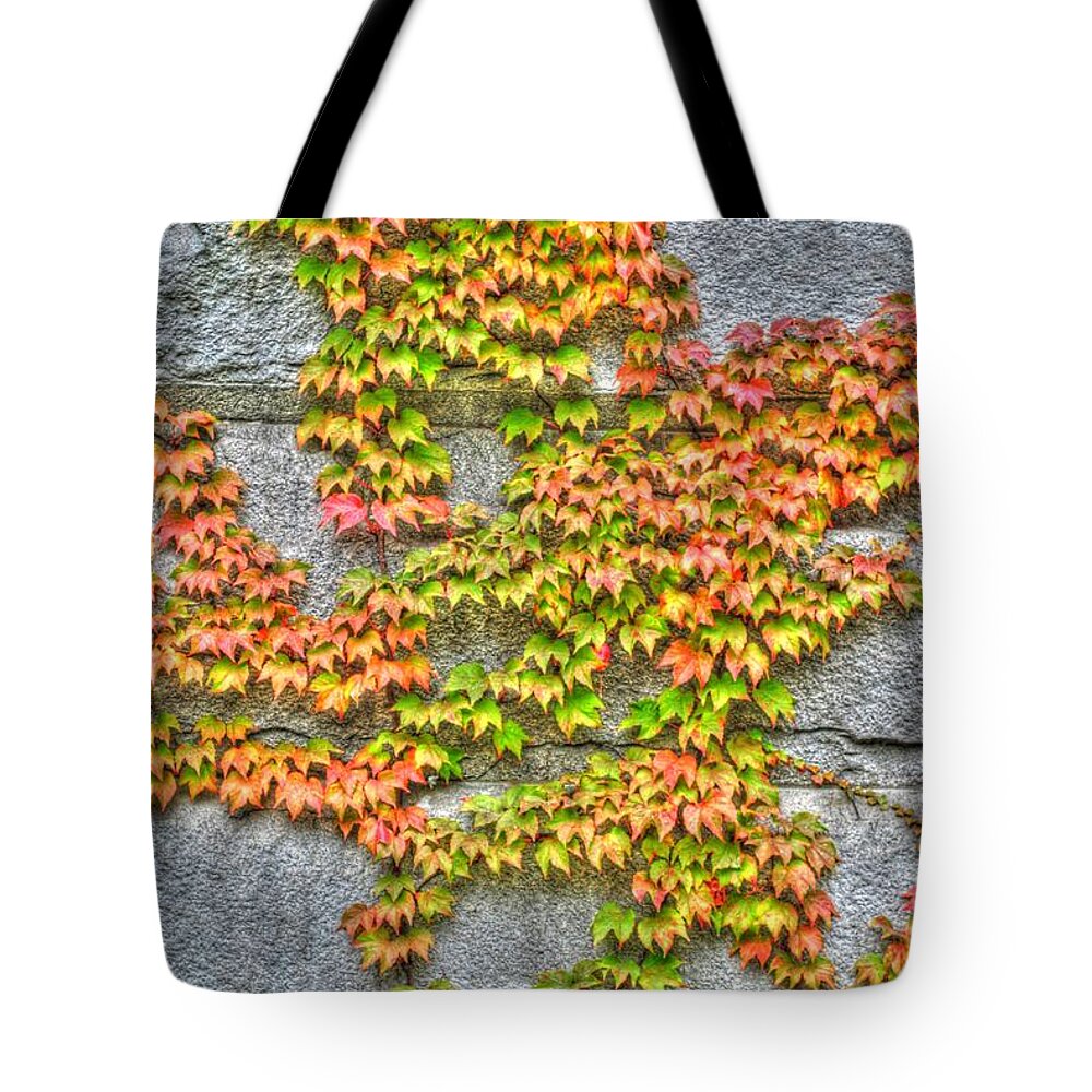  Tote Bag featuring the photograph Fall Wall by Michael Frank Jr
