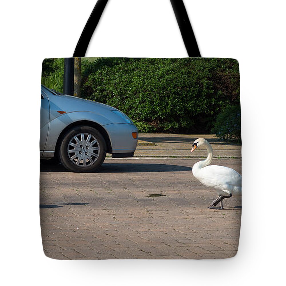 British Tote Bag featuring the photograph Family of Swans cross the road by Andrew Michael