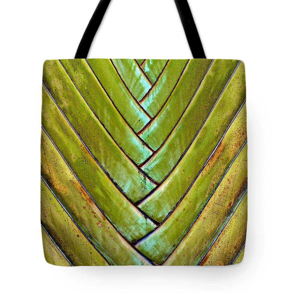 Fan Palm Tote Bag featuring the photograph Fan Lines by Britt Runyon