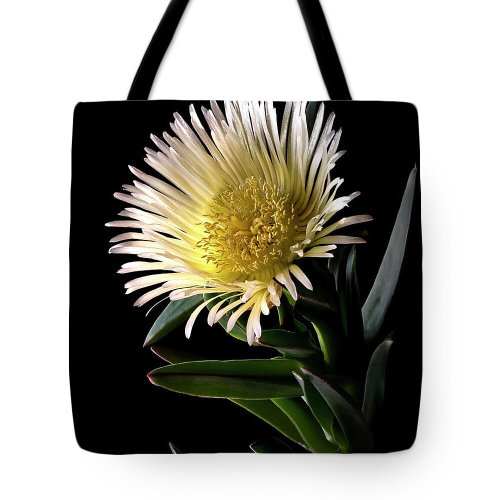 Flower Tote Bag featuring the photograph Fancy Ice Plant by Endre Balogh