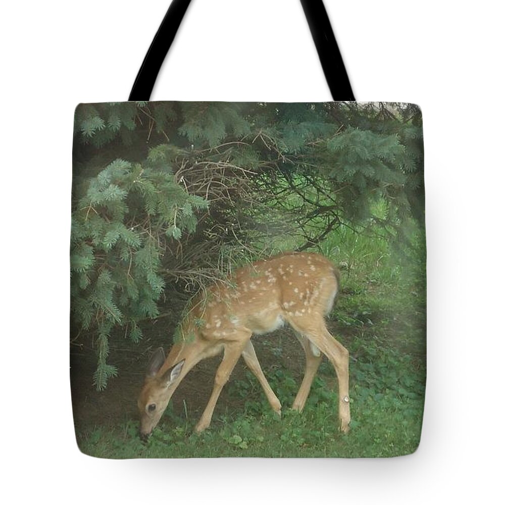 Fawn Tote Bag featuring the photograph Fawn by Leslie Manley