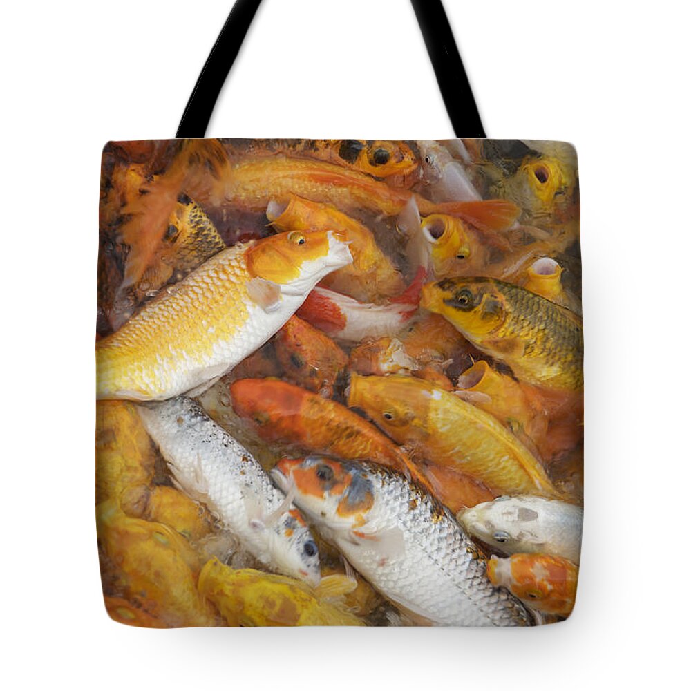 Fish Tote Bag featuring the photograph Feeding frenzy by Christopher Rowlands