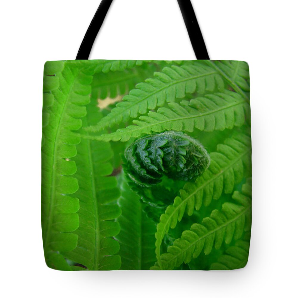 Fern Tote Bag featuring the photograph Ferns Fine Art Prints Green Forest Fern by Patti Baslee