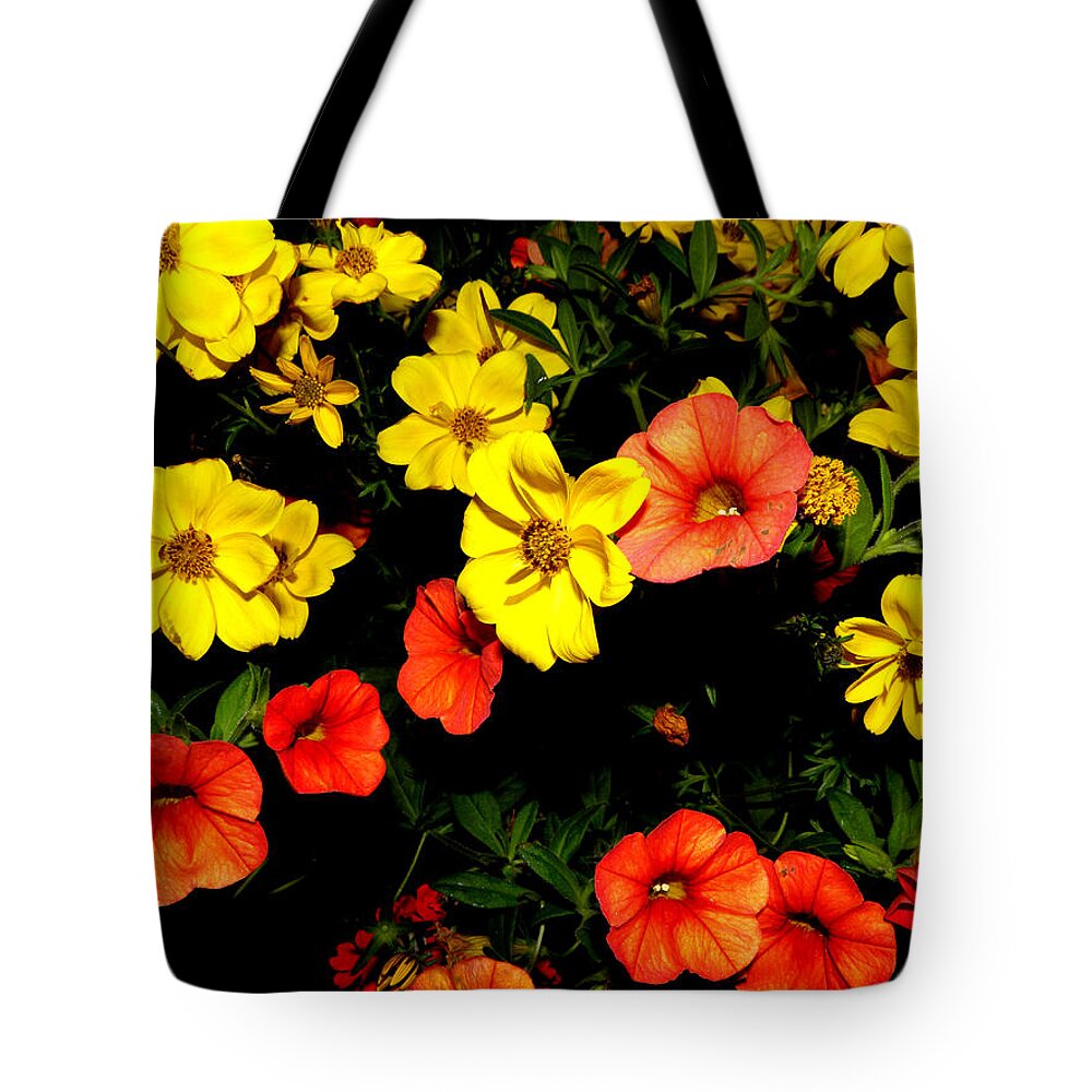 Flowers Tote Bag featuring the photograph Fire Colors by Kim Galluzzo