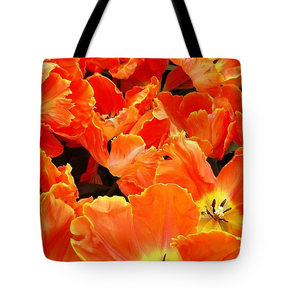 Tulips Tote Bag featuring the photograph Fire Tulips by Amalia Suruceanu