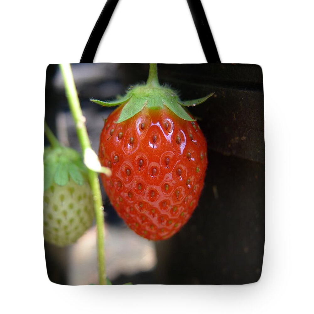 Strawberry Tote Bag featuring the photograph First of the year by Richard Reeve